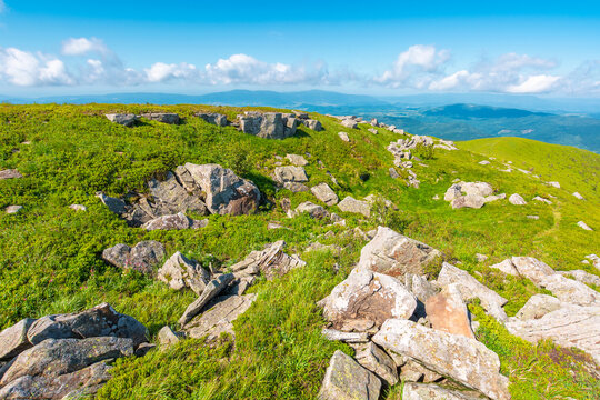 alpine grassy meadow. carpathian mountains landscape with huge boulders. alpine nature scenery of ukraine highlands in summer. view of remote place in mountains