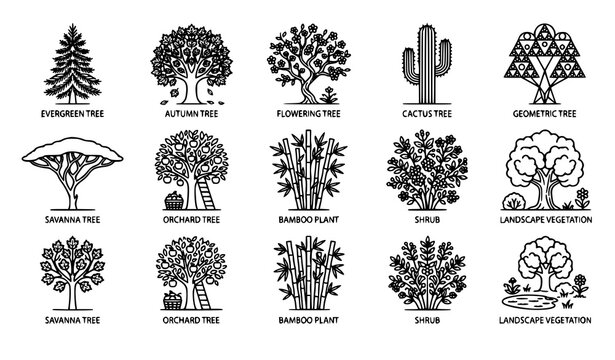 Vintage linocut tree icon set with botanical pine oak cactus acacia and garden landscape vegetation symbols vector