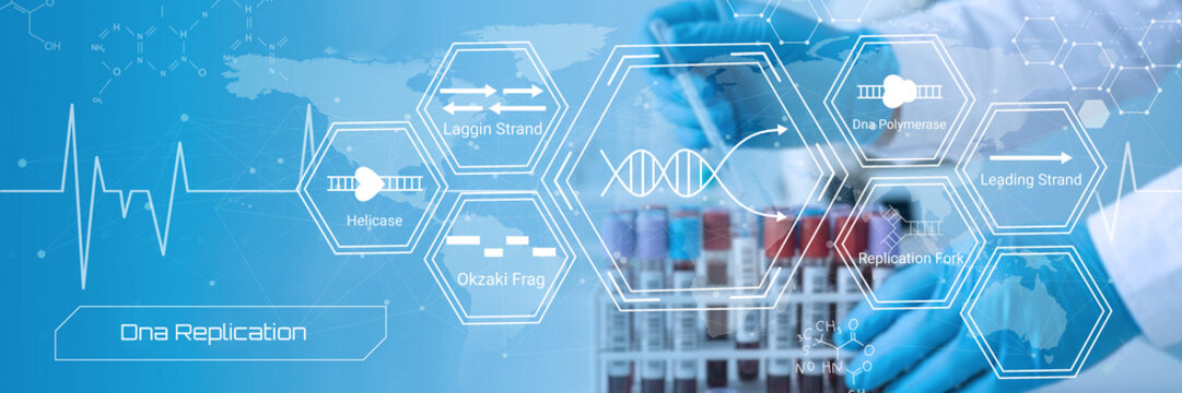 Illustrative depiction of DNA replication process with labeled molecular components and scientific icons