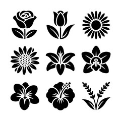 Fototapeta premium Collection of nine different black and white vector illustrations of flowers and plants