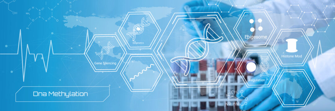Modern scientific illustration showing DNA methylation and related genetic regulation concepts with hexagonal icons
