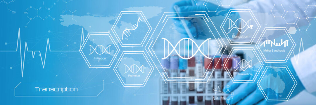 Modern scientific illustration showing genetic transcription and molecular biology processes with DNA strands and lab setting