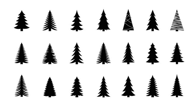 Collection of various black pine tree silhouettes on white background for design and decoration