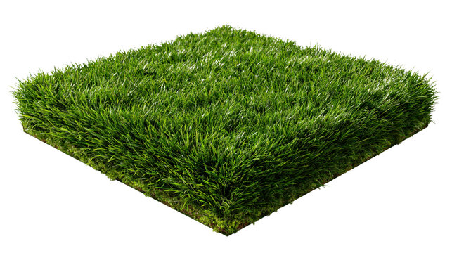 A clean geometric block of lush green sod showcasing a healthy roots structure along its sharp soil edge.