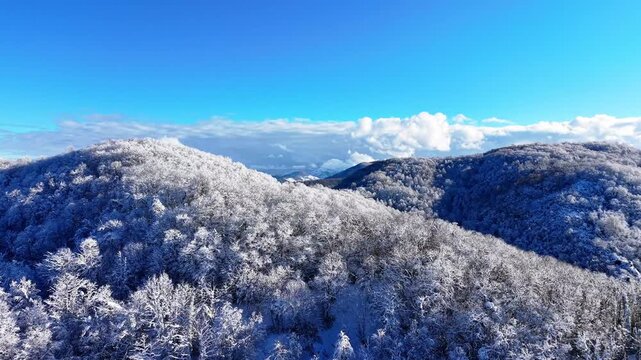 Cinematic 4K close-range drone footage at a snowy mountain summit, capturing frost-covered trees just a few meters away. Warm sunlight illuminates the frozen forest, creating a striking contrast betwe