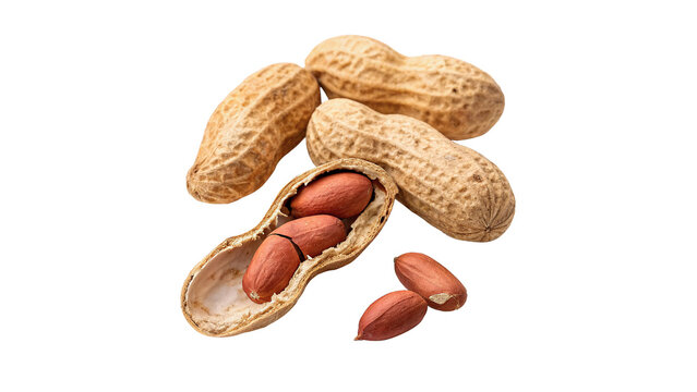 A small pile heap of whole organic raw brown peanuts inside shells isolated on transparent background