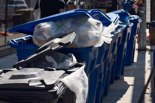 Blue recycling bins lined up along a curb in downtown Toronto with overflowing clear garbage bags, showing urban waste and recycling collection during summer conditions