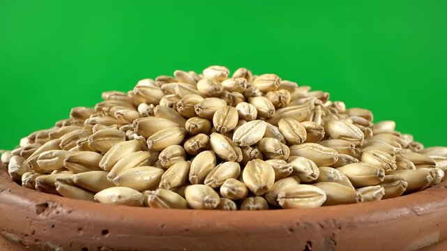 Closeup of Whole Grains in a Clay Pot on a Green Background.