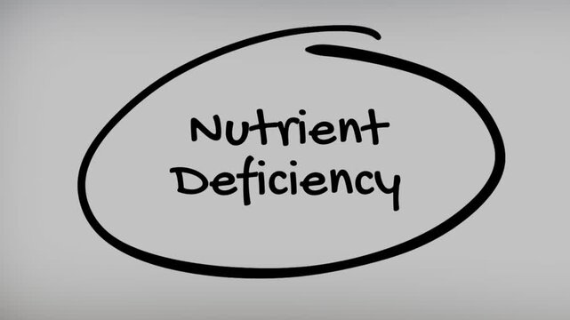 Nutrient Deficiency Hand Writing Text on Glass Screen