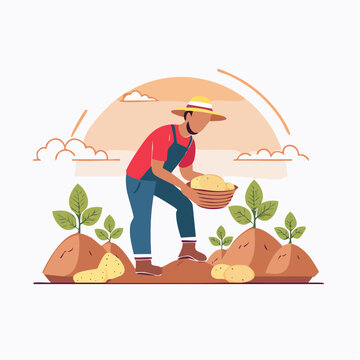Farmer Harvesting Potatoes in a Field