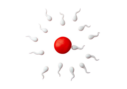 Human egg cell surrounded by sperm cells, 3D fertilization process isolated on transparent background PNG
