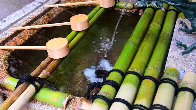 手水舎のお清めの水