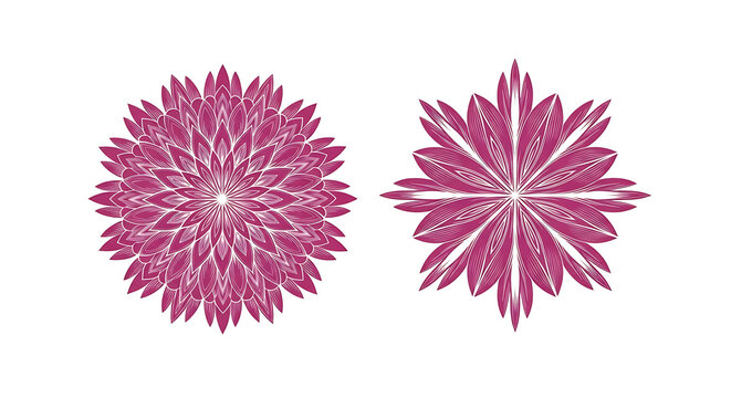 Vibrant pink and magenta radial burst shapes with gradient shading