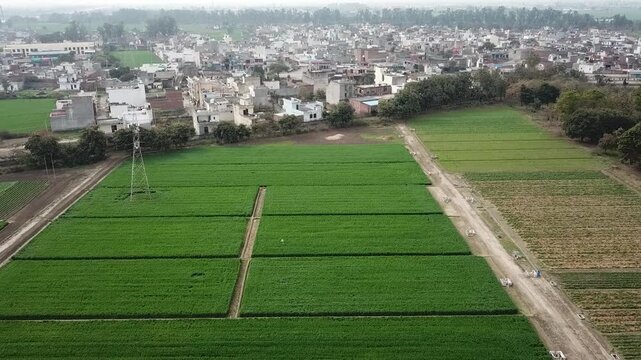 Aerial view of lush green agricultural fields and rural houses under a hazy sky in Karnal, Haryana, India.