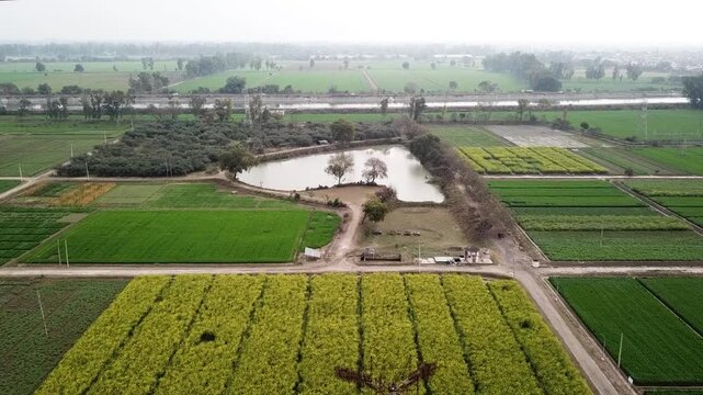 Aerial view of lush green agricultural fields, a small pond, and rural landscape under a hazy sky in Karnal, Haryana, India.
