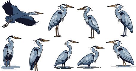 Fototapeta premium Great Blue Heron and Crane Vector Illustration Set with Flying Long Legged Wading Birds, Standing Crested Egret Profiles, and Water Wetland Design Elements