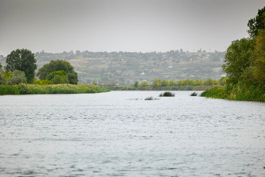 The Southern Bug River flows past green reed beds, grassy banks, and forested hills near the municipal territory of the city of Voznesensk in the Mykolaiv Oblast of Ukraine under a gray sky