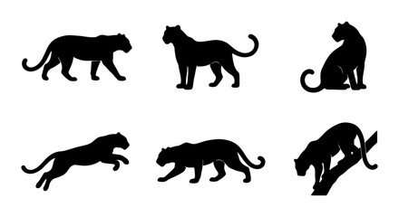Black Panther Silhouettes, Wild Cat Poses, Feline Vector Set, Big Cat Graphics © MST