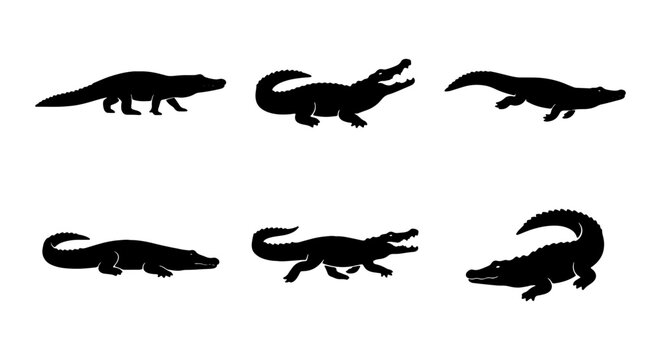 Alligator Silhouettes Collection, Reptile Vector Icons, Wildlife Animal Graphics, Swamp Creatures Set