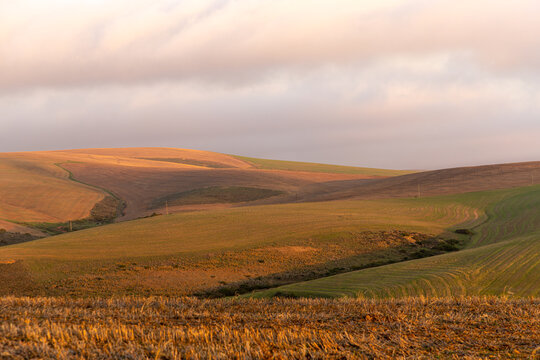 farmland at sunset, Western Cape, South Africa
