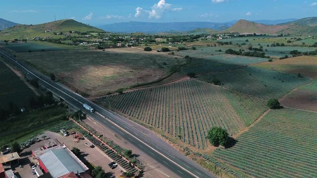 This commercial aerial drone footage presents a breathtaking panoramic view of endless blue agave fields during a warm golden sunset. The camera executes a smooth travel in or push in movement over th