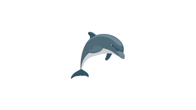 Dolphin jumping out of water 3d animation 
