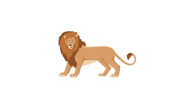Lion cartoon 3d animation 