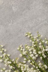 Obraz premium Beautiful lily-of-the-valley flowers on grey table, flat lay. Space for text