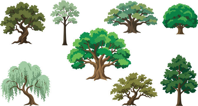 Diverse collection of trees with varying leafy green foliage and brown trunks on white background