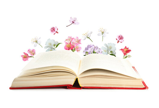 Open book and flowers behind it on white background