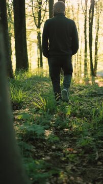 Cinematic footage of a person walking alone through a sunlit forest path surrounded by trees and fresh greenery. 