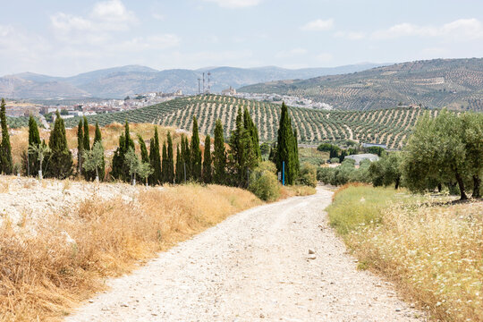 gravel road in a rural landscape overlooking the city of Baena, province of Cordoba, Andalusia, Spain