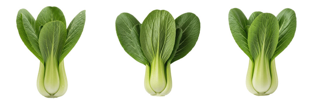 Set of fresh green bok choy Chinese cabbage vegetable isolated on transparent background PNG