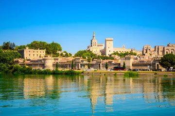 Panoramic view of the historic center, Papal Palace and ancient city walls rise above the Rhone River on a sunny summer day, Avignon, Provence, France © Olena Zn