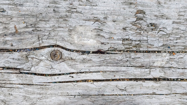 Detailed texture of weathered driftwood plank surface