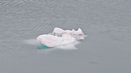 Glacier Bay, Alaska - USA - August 24, 2024 - Iceberg floating in calm waters © Mateus