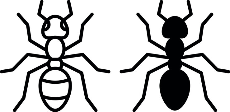 Ant silhouette and outline vector illustration showing insect anatomy with segmented body, six legs, antennae, biology and design conceptPrint
