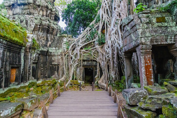 Fototapeta premium Ta Prohm temple in Siem Reap, Cambodia, showcases the iconic fusion of ancient Khmer architecture and nature, with massive tree roots entwining the stone structures.