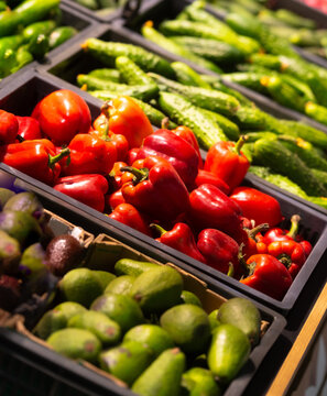 Fresh Vegetables Display with Peppers, Avocado and Cucumbers