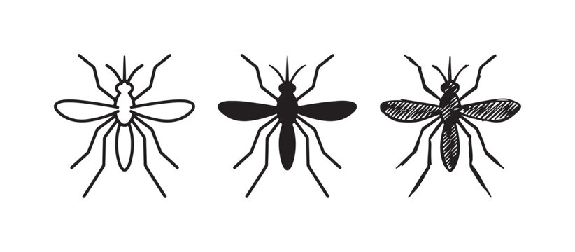 Three mosquito illustrations from above: outline, solid fill, and hand-drawn sketch with shading.