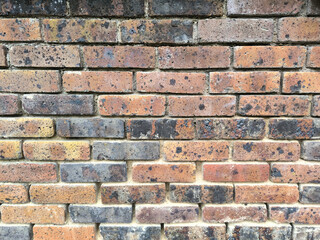Fototapeta premium Weathered Multicolored Old Brick Wall Texture with Mortar Joints Showing Age Stains and Rustic Patina as Background