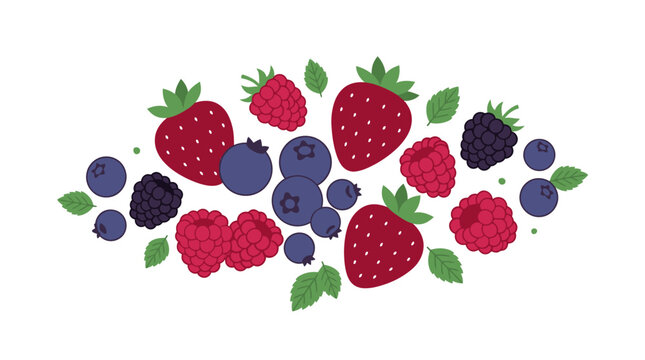 Mixed Berries Fresh Fruit Illustration.