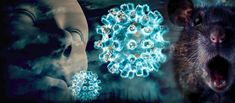 Composici&oacute;n digital de part&iacute;culas de hantavirus con rostro humano y rata sobre fondo azul oscuro. Ilustraci&oacute;n cient&iacute;fica en 3D. Imagen editorial sobre el concepto de transmisi&oacute;n del hantavirus
