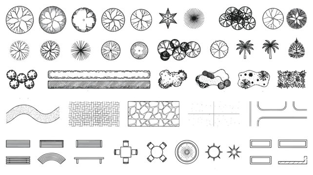 Landscape Architecture Entourage Vector Set with Top View Colored Cars and Elevation Trees