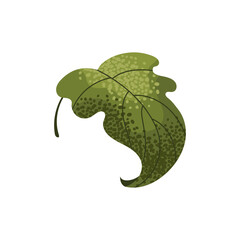 Philodendron leaf. Exotic summer paradise. Tropical leaves. Green jungle. Blooming garden. Isolated vector illustration. © FRIEVA