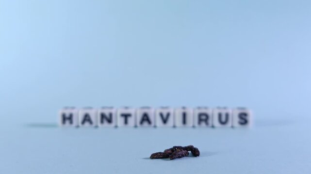 Macro selective focus shifting from Hantavirus block text to a cluster of mice feces on a clean blue background. Illustrates zoonotic disease transmission, public health risks, and contagion.