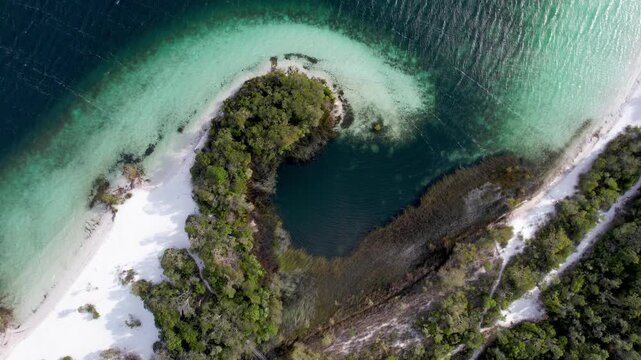 Aerial view of the crystal clear turquoise waters and white silica sand of Lake Mckenzie Boorangoora surrounded by lush green forest in K'gari, Queensland, Australia.
