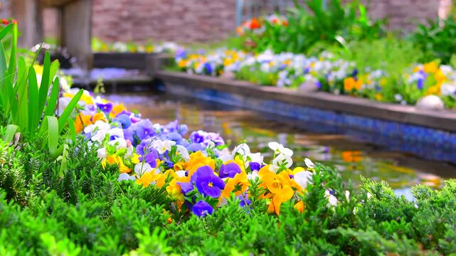 水辺の花」の写真素材 | 28,153件の無料イラスト画像 | Adobe Stock