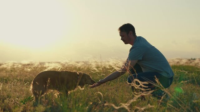 Concept human animal friendship. Dog sitting next its owner. Man strokes dog spaniel with hand, outdoors. Owner stroking red dog, sunset during hike. Dog get caress from owner. Owner loves pet