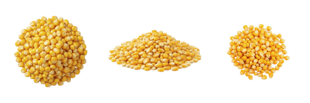 Set of Raw Dried Corn Kernels - Piles of Yellow Maize Seeds PNG Images